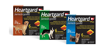 Save on Heartguard at Eastgate Animal Clinic!