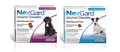 Save on NexGard at Eastgate Animal Clinic!