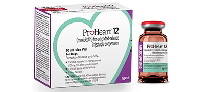 Save on ProHeart 12 at Eastgate Animal Clinic!