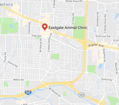 Eastgate Animal Clinic Map