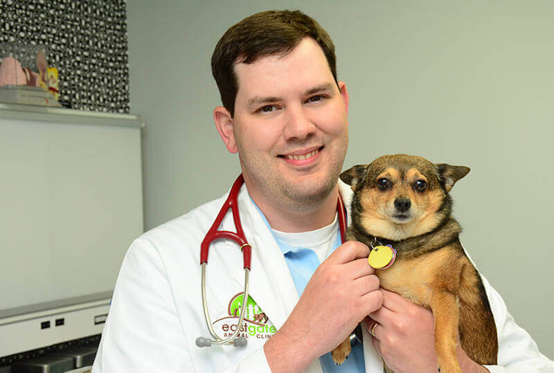 Eastgate Animal Clinic Services