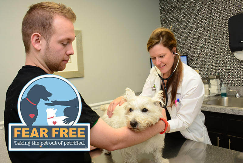 Stress Free Animal Clinic in Memphis TN