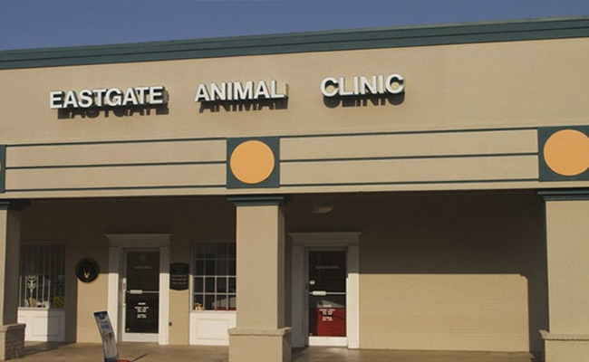 East Memphis, Germantown Vets - Eastgate Animal Clinic